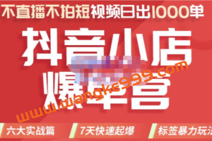 推易电商·2022年抖音小店爆单营，不直播、不拍短视频、日出1000单，暴力玩法