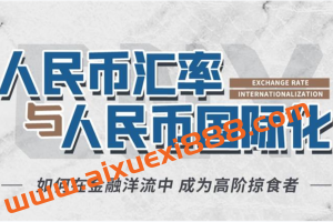 翟东升《人民币汇率与人民币国际化》