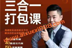 小伟《成交三合一打包课》：销售硬核实战
