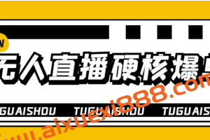 大飞无人直播硬核爆单技术，轻松玩转无人直播，暴利躺赚