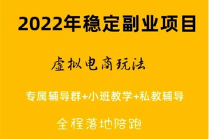 九京《淘宝虚拟电商蓝海项目》