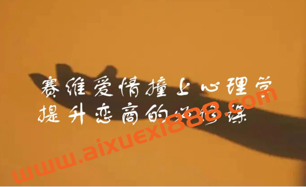 赛维爱情撞上心理学，提升恋商的必修课（13集视频）插图