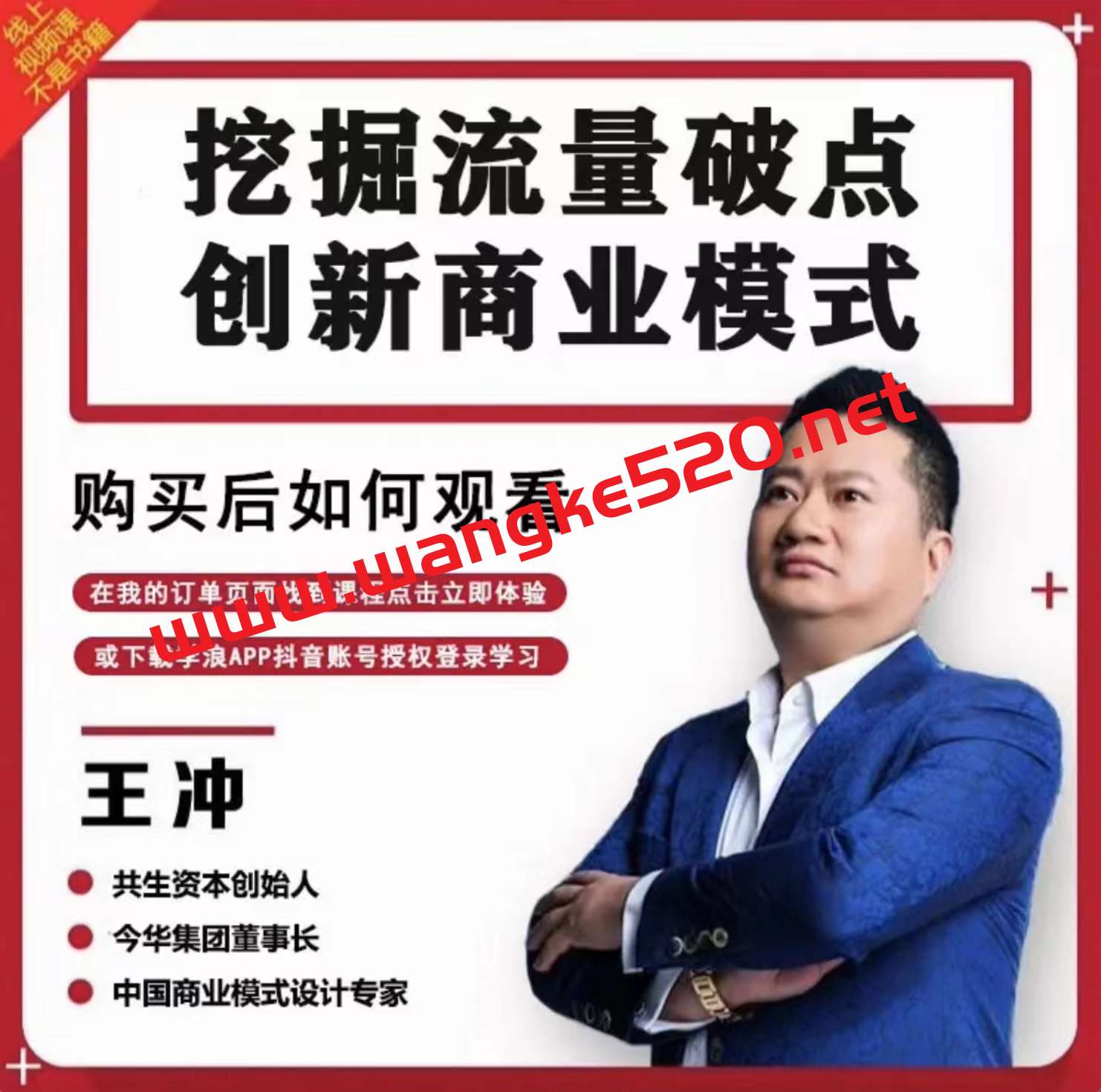 王冲老师·商业辅导策划《商业模式+流量系统+团队管理》视频课插图