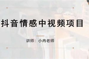 小冉《抖音情感中视频项目》