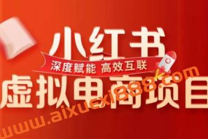 米杰《小红书虚拟电商项目》