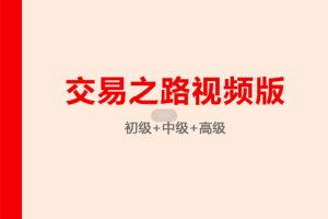 交易之路视频版（初中高级）