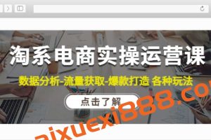 淘系电商实操运营课，数据分析-流量获取-爆款打造各种玩法