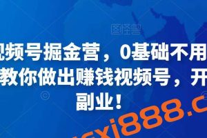 36天视频号掘金营，0基础不用担心，手把手教你做出赚钱视频号，开启高薪副业