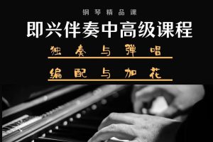 【众筹】李梦轩-即兴伴奏中高级课程，独奏+弹唱+编配+加花