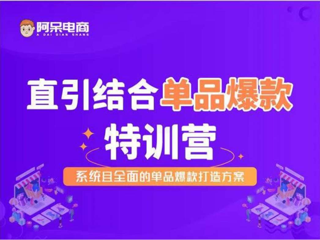 阿呆《直引结合单品爆款特训营》插图 阿呆《直引结合单品爆款特训营》插图