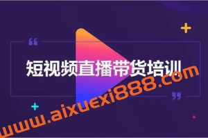 财老师《短视频带货爆单运营》