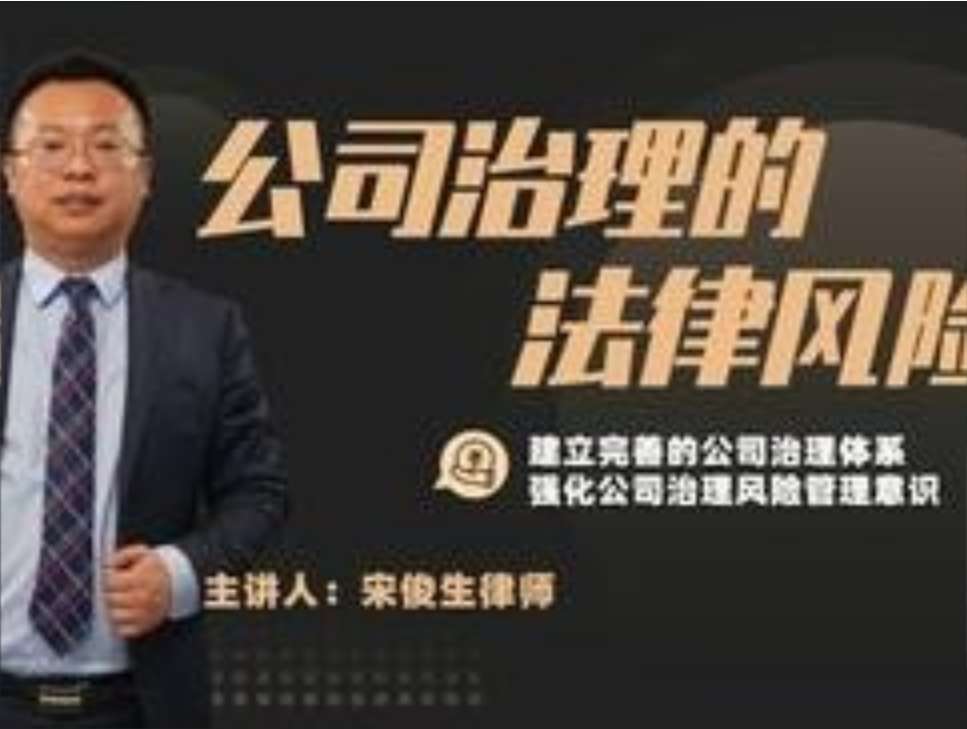 宋俊生《公司治理的法律风险》插图