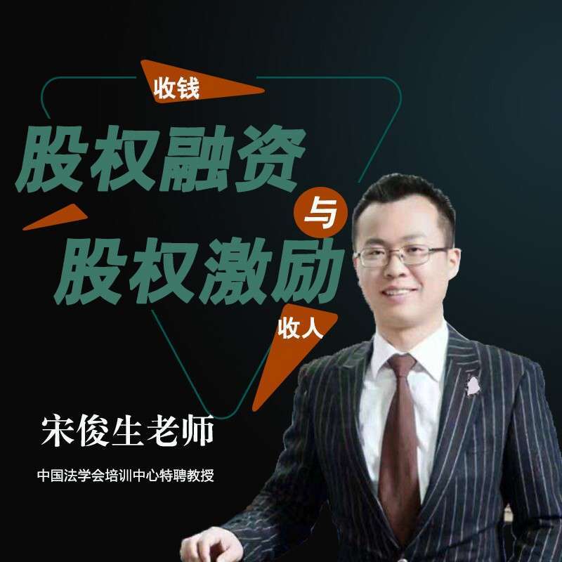 宋俊生《股权融资与股权激励》插图