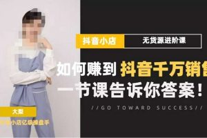 大梨《抖店无货源进阶冲刺课》