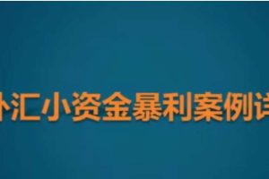 竹祥汇说《外汇小资金暴利案例详解》