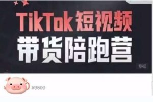 海外电商学院·TikTok短视频带货陪跑营，价值6800元
