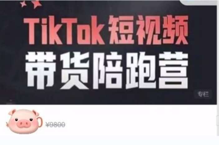 海外电商学院·TikTok短视频带货陪跑营，价值6800元插图