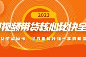 达人队长《短视频带货核心方法全辑》