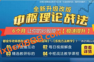 【都业华】2024年都业华中枢理论战法 中枢缠论实战课程
