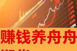 无为教育（奚百成）赚钱养舟舟期货培训视频