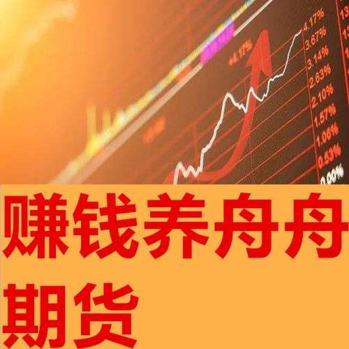无为教育(奚百成)赚钱养舟舟期货培训视频插图 无为教育(奚百成)赚钱养舟舟期货培训视频插图