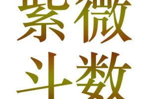 九龙道长-王员外斗数紫微斗数课程