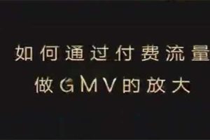 大圣《如何利用付费流量GMV的放大》