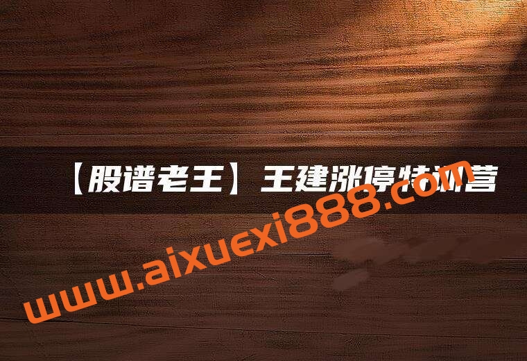 【股谱老王】王建涨停特训营51集插图