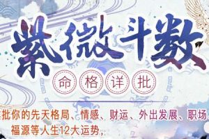 陈小飞《钦天门紫微斗数基础班》