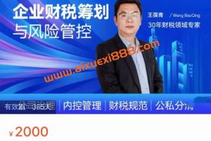 王葆青：企业财税筹划与风险管控