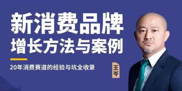 【众筹】王岑：新消费品牌增长方法与案例（爆款视频课）3.0版本插图