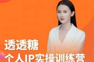 【众筹】透透糖2023个人IP实操训练营，基础准备+短视频实操+高手进阶+变现落地+数据+电商