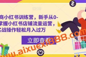 百宝电商小红书训练营,新手从0-1快速掌握小红书店铺流量运营,实战操作轻松月入过万