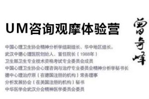 曾奇峰 UM心理咨询观摩体验营线上训练视频课