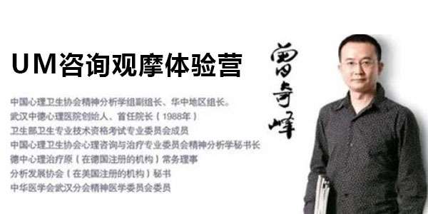 曾奇峰 UM心理咨询观摩体验营线上训练视频课插图