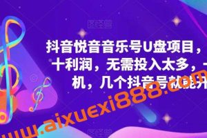 抖音音乐号U盘项目，一单几十利润，无需投入太多，一台手机，几个抖音号就能开始