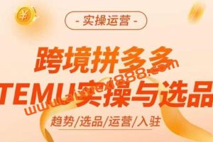 跨境拼多多TEMU实操与选品，​掌握平台运营方法技巧，选品避坑12条标准