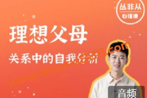 丛非从 理想父母：关系中的自我分析