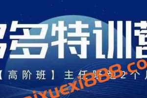 纪主任·多多特训营高阶班【9月13日更新】，拼多多最新玩法技巧落地实操