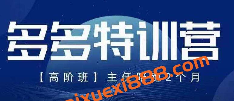 纪主任·多多特训营高阶班【9月13日更新】,拼多多最新玩法技巧落地实操插图 纪主任·多多特训营高阶班【9月13日更新】,拼多多最新玩法技巧落地实操插图