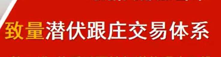 「期海」致量潜伏跟庄交易体系插图