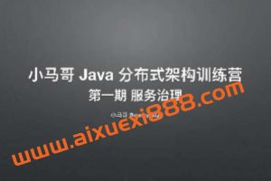 小马哥 Java 分布式架构训练营 – 第一期 服务治理