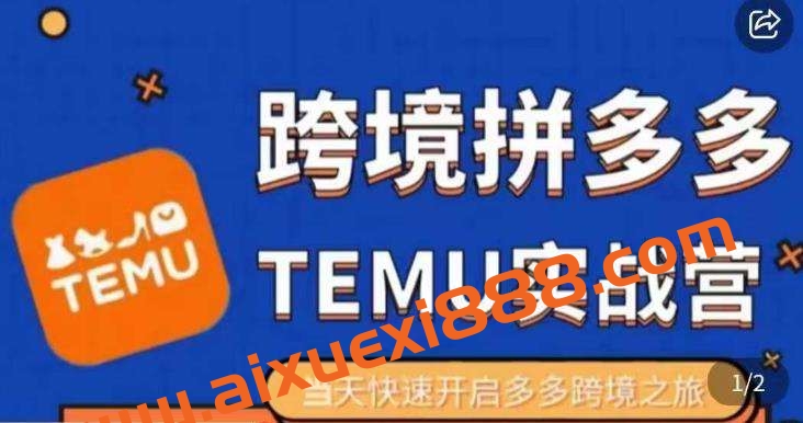 大鹏出海·拼多多跨境temu运营指导，开店注册+选品+核价上架，日出千单实战课插图