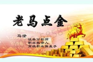【老马点金】股票涨跌基因10节