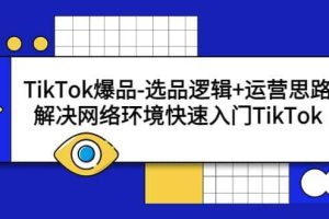 TikTok爆款-选品逻辑性 经营思路：处理网络空间快速入门TikTok