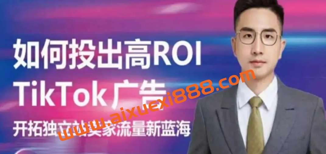 【众筹】稳哥《如何投出高ROI的TikTok广告》开拓独立站卖家流量新蓝海插图