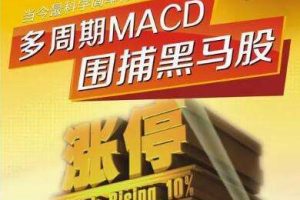 【姜伟】《多周期MACD围捕黑马股》