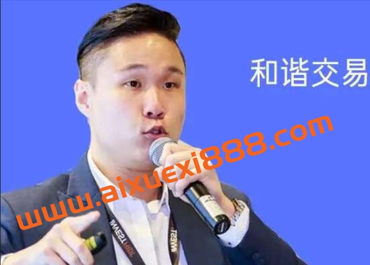 【和谐商学院】铁力老师 和谐交易初级中级高级班5集插图