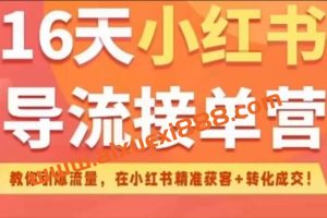蔡汶川《16天小红书导流接单营》
