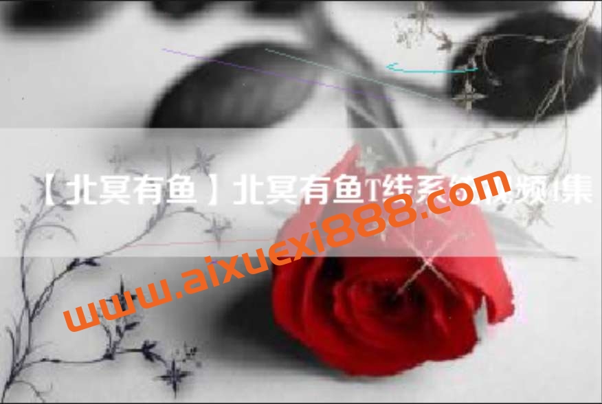 北冥有鱼T线系统视频 4集插图